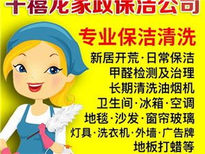 平輿家政服務全方位指南 從信息查詢到專業(yè)管理