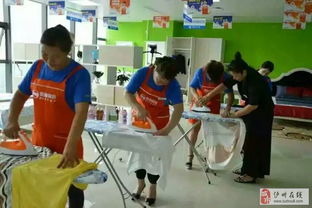 歡顏家政瀘州分公司 高端家政服務與精細化物業(yè)管理的融合典范